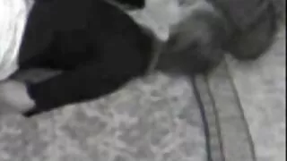 বেশ বিএফ সেক্সি কয়ে ...