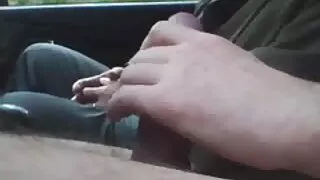 বক্র রেডহেড ভেরোনিকা ...