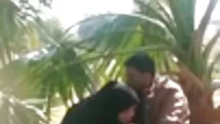 শৃঙ্গাকার লাল কেশিক  ...