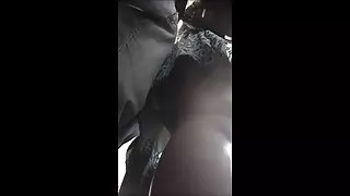 লাল কেশিক পরিপক্ক বি ...