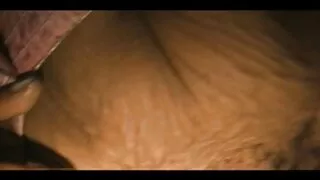 টকটকে স্বর্ণকেশী শিশ ...
