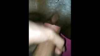 বসোমি স্বর্ণকেশী লোম ...