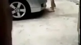 জুগি শ্যামাঙ্গিনী পী ...