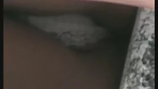 স্যালাসিয়াস সেক্সি  ...
