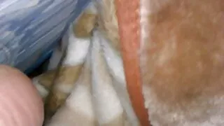 বস্টি শ্যামাঙ্গিনী হ ...