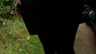 হাল্কা কেশিক মিষ্টি  ...