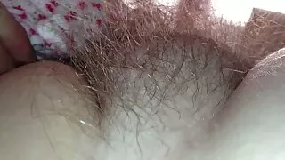 ছেঁড়া কুত্তা একটি ক ...